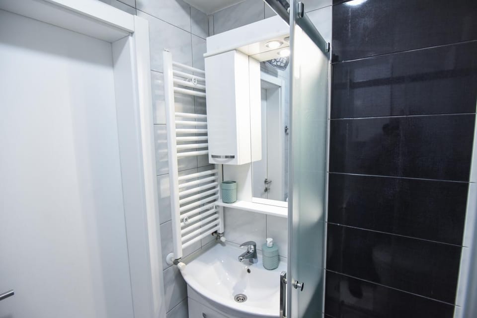 Stevi Apartment Apartment in Skopje