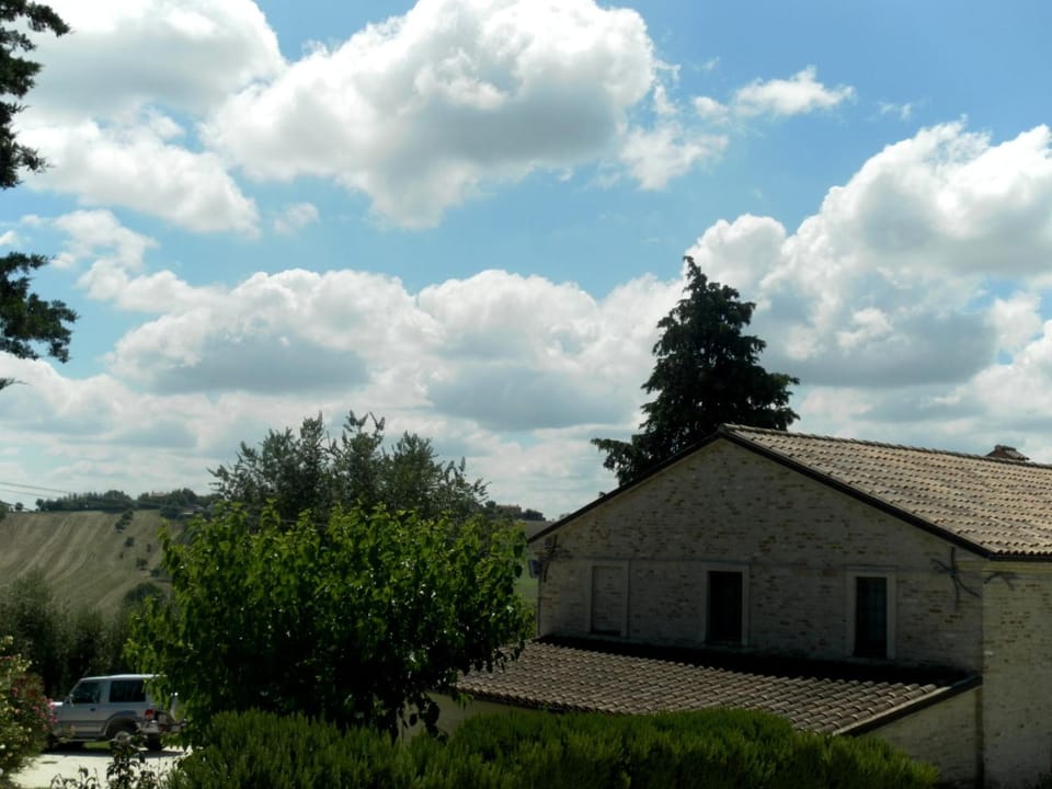 View (from property/room), Garden view