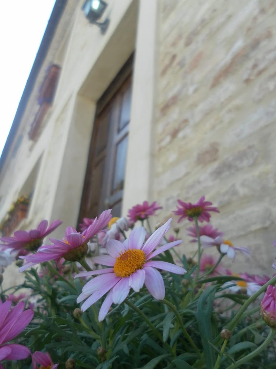All'ombra degli Ulivi B&B Farm Stay in Umbria