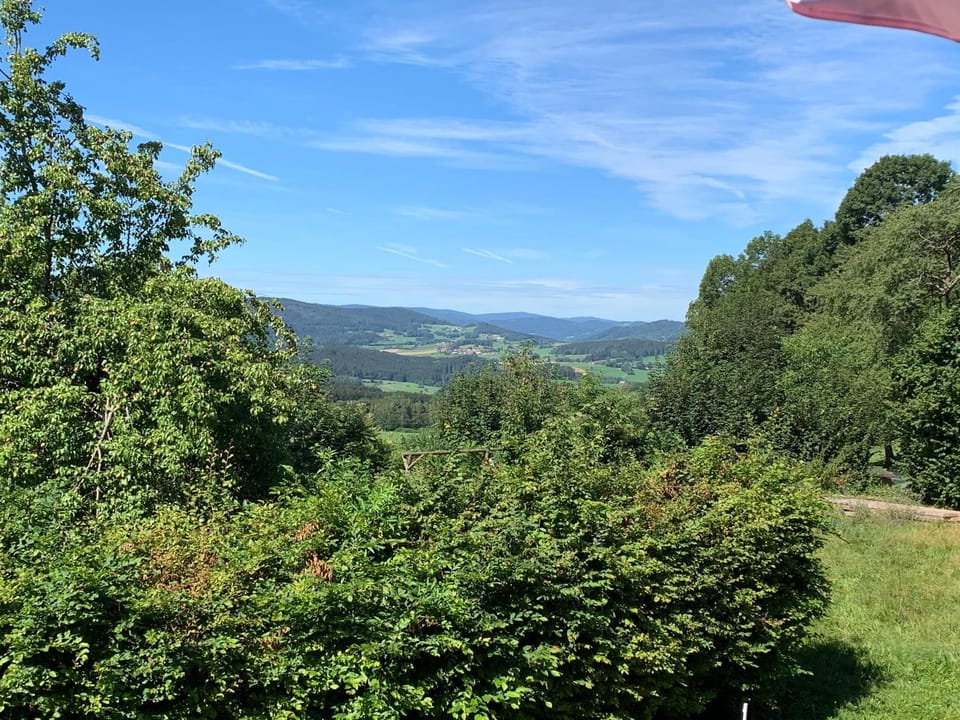 Garden view