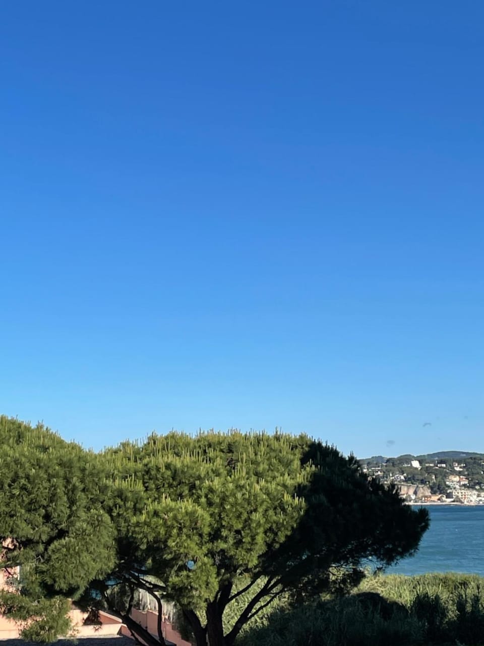 Sea view