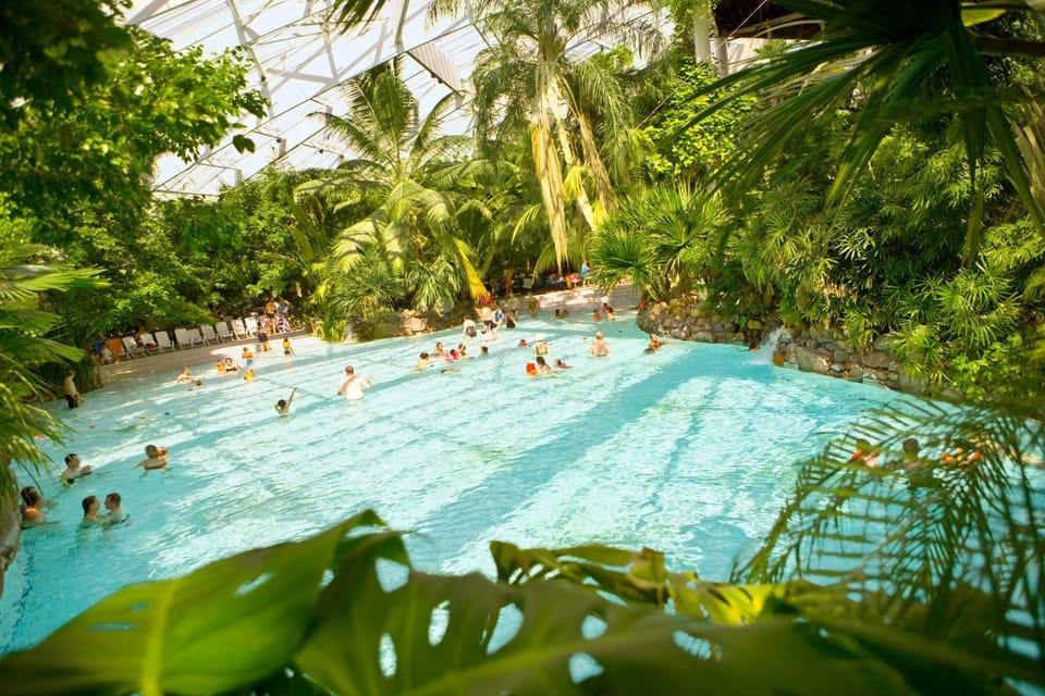 Spring, Day, Natural landscape, Garden, Aqua park, Garden view, Pool view, Swimming pool