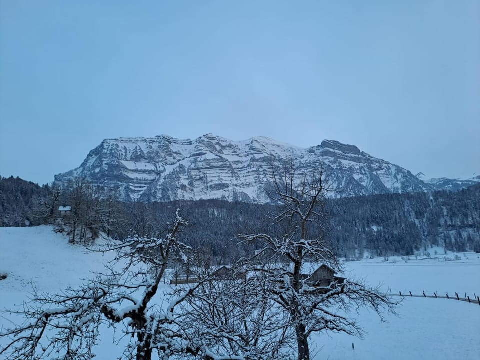 Natural landscape, Winter