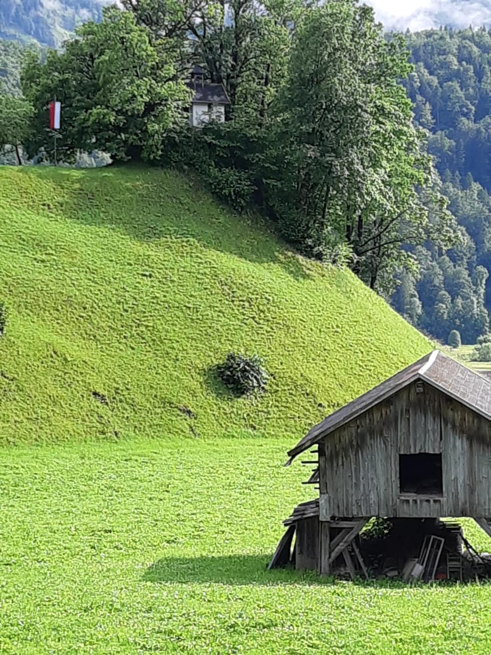 Natural landscape