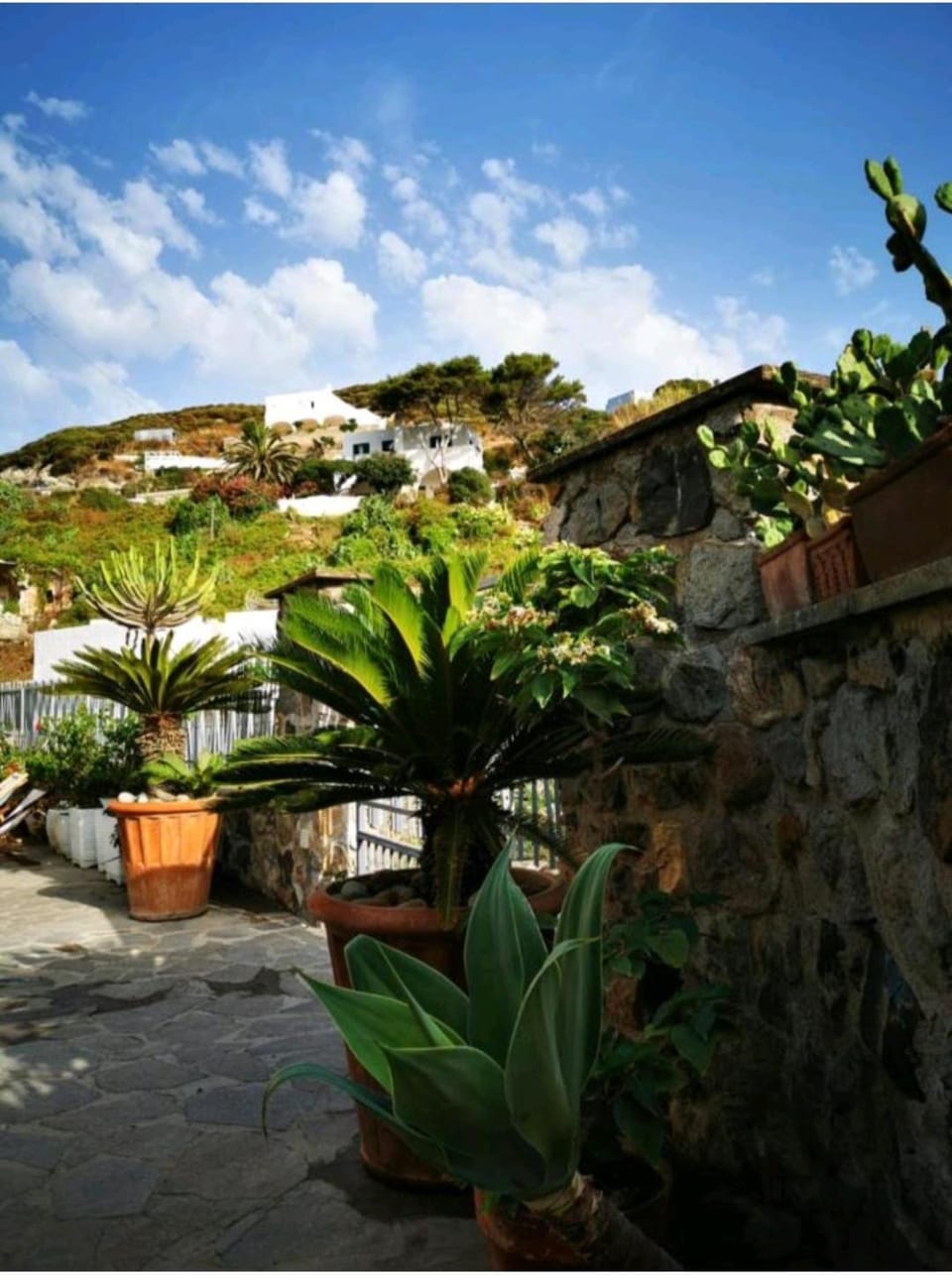 Day, Natural landscape, Garden, Garden view, Mountain view