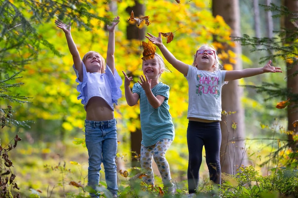 Autumn