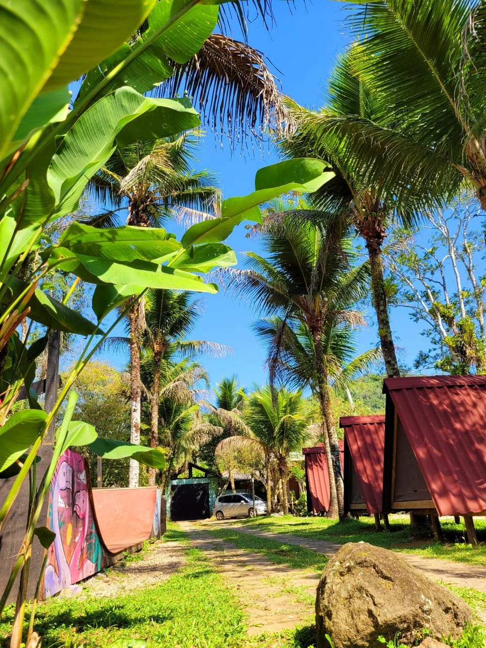 Garden, Garden view