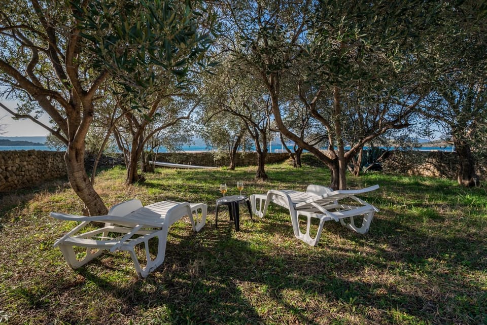 Garden, Garden view