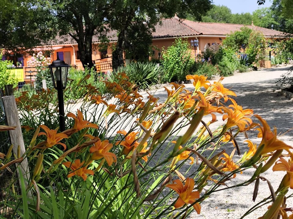 Le Mas de Balmes Bed and Breakfast in Occitanie