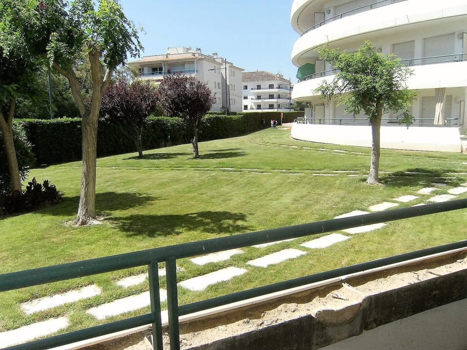 Patio, Garden, Garden view
