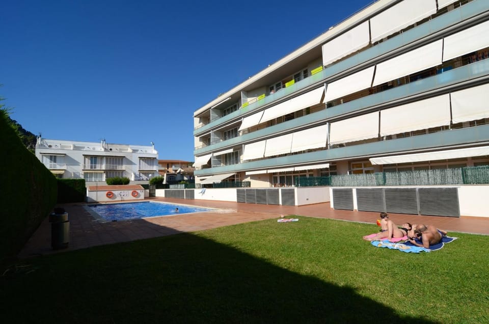 Patio, Garden, Garden view