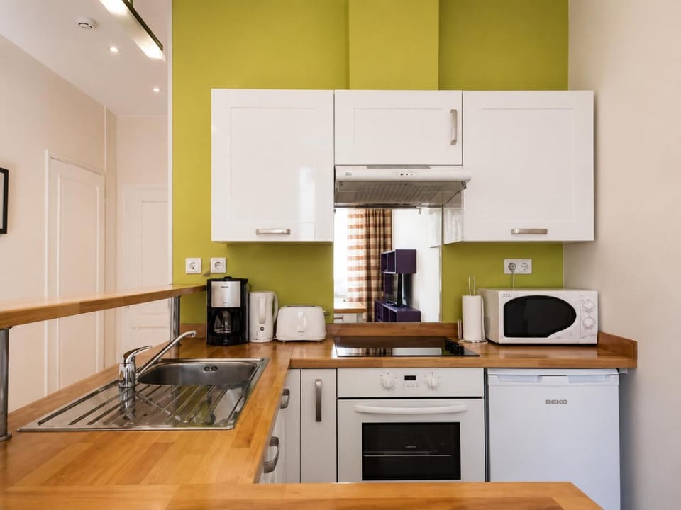 Barla 3 - a spacious one bedroom apartment near Place Garibaldi Apartment in Nice