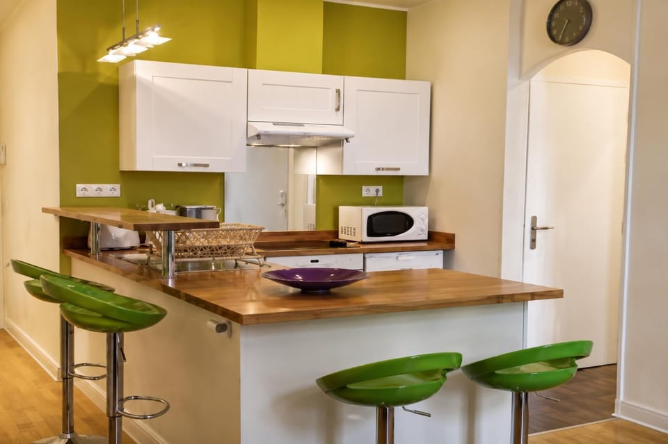 Barla 3 - a spacious one bedroom apartment near Place Garibaldi Apartment in Nice
