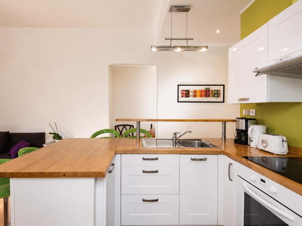Barla 3 - a spacious one bedroom apartment near Place Garibaldi Apartment in Nice