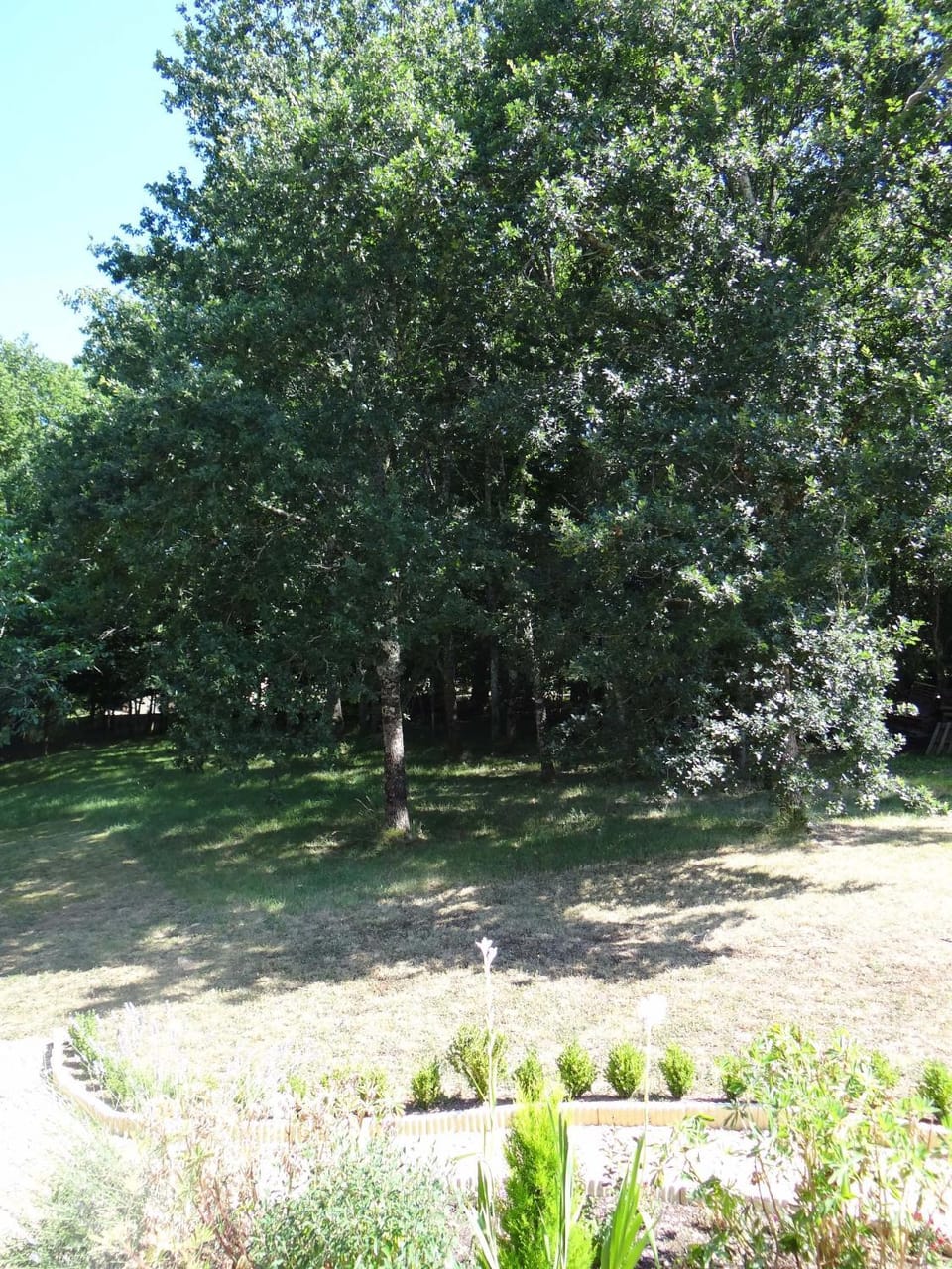 Domaine de La Bessade Apartment in Le Bugue