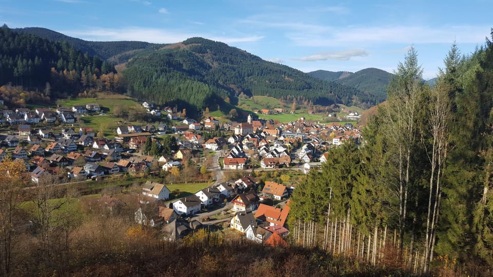 Natural landscape, Autumn, On site