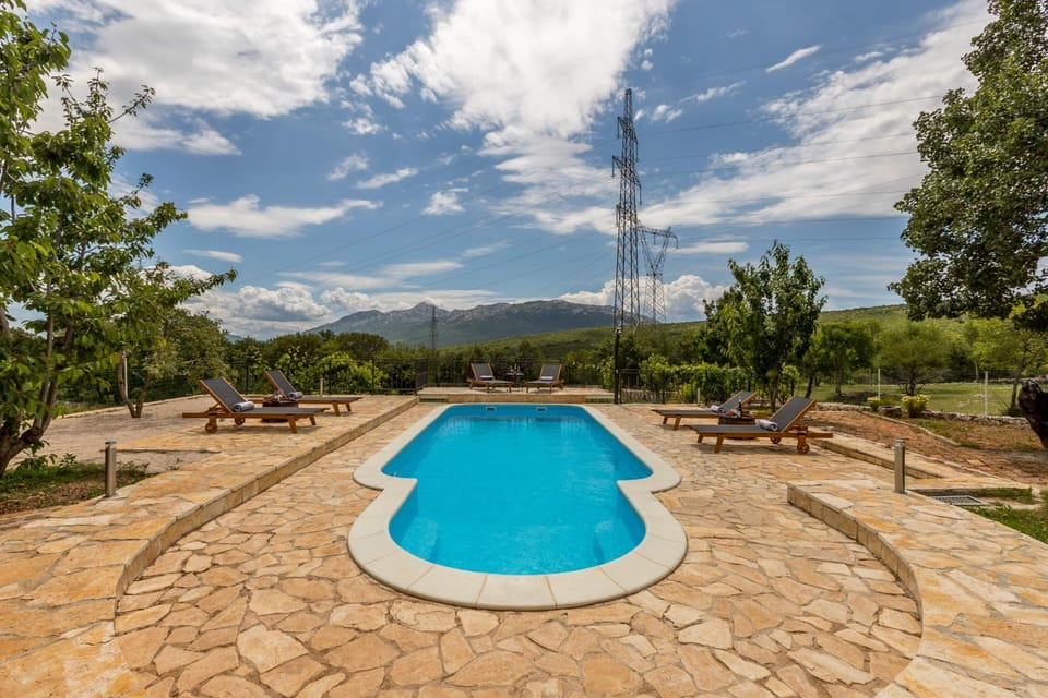 Day, Natural landscape, Garden, Garden view, Pool view, Swimming pool, sunbed