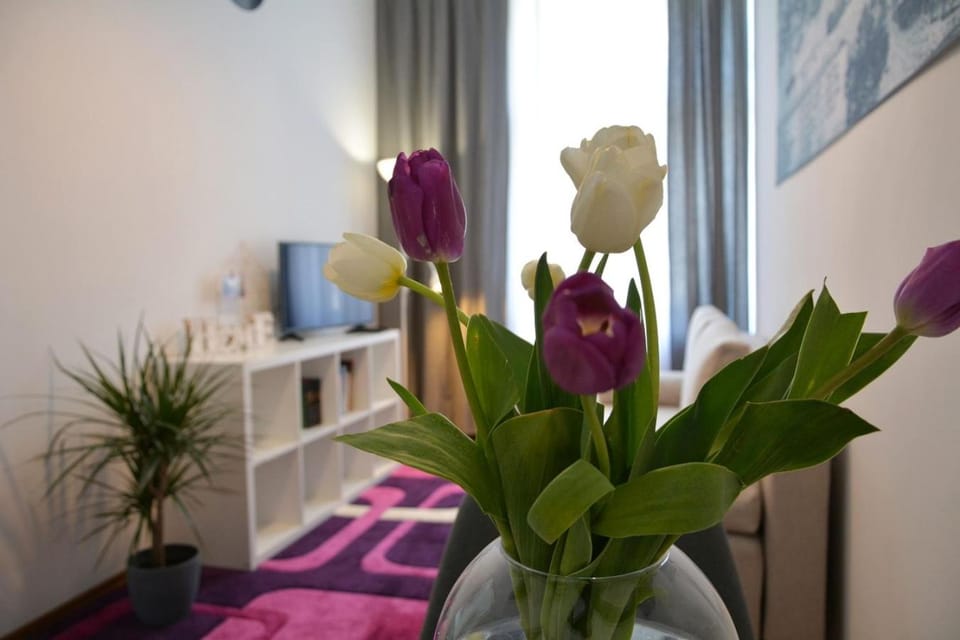 Apartament Staromiejski Zosia Apartment in Greater Poland Voivodeship