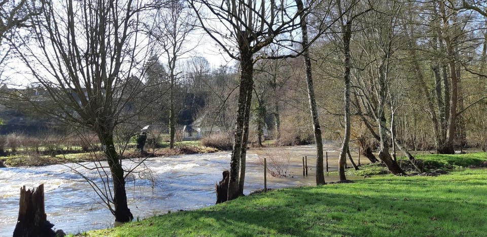 Natural landscape, River view