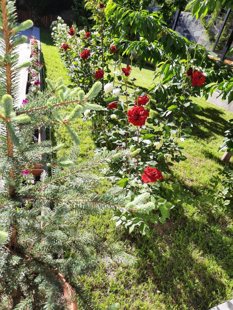 Garden, Garden, Entertainment