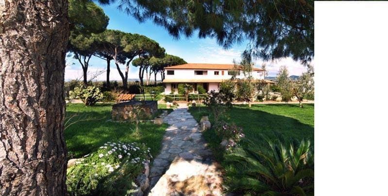 Day, Garden