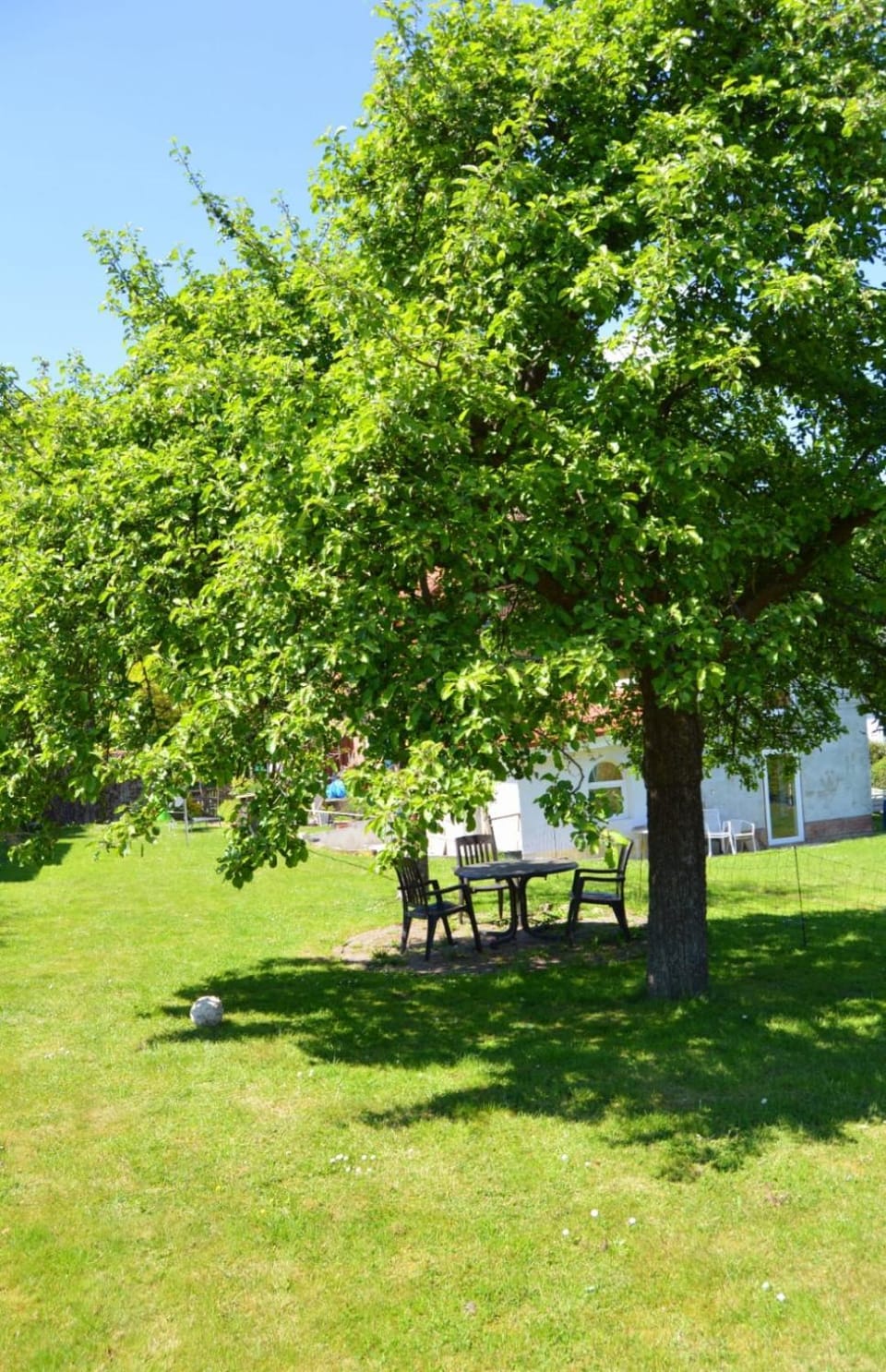 Garden, Garden view