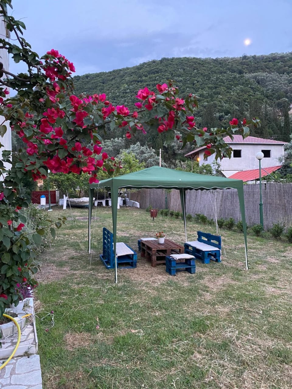 Camelia Studios Apartment hotel in Lefkada, Lefkada Municipality, Greece