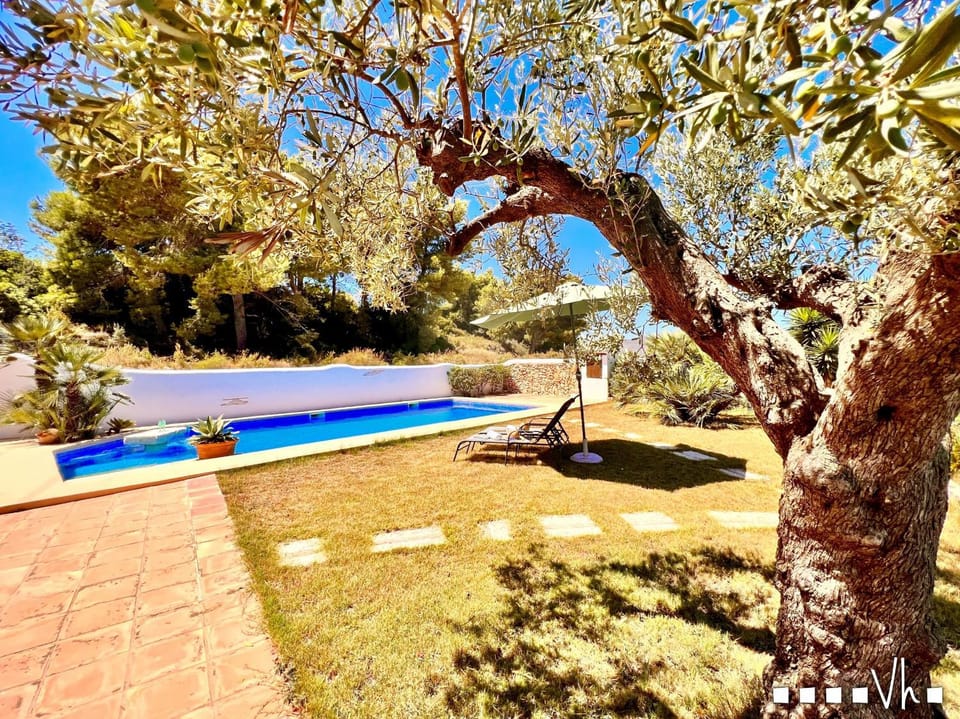 Patio, Garden, Garden view