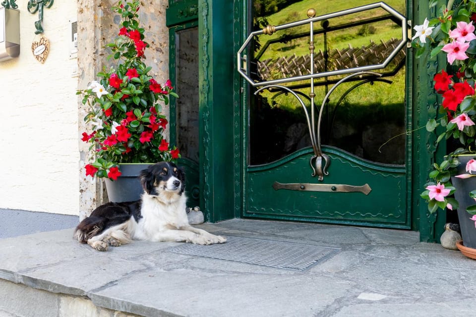 Ganzenhubhof Bed and Breakfast in Salzburgerland