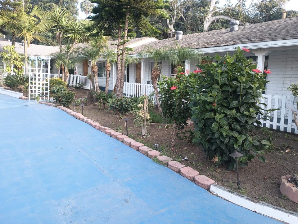 Garden, Garden view