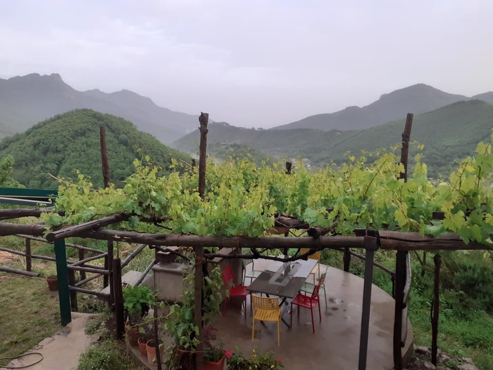 La Casa in Vigna Farm Stay in Campania