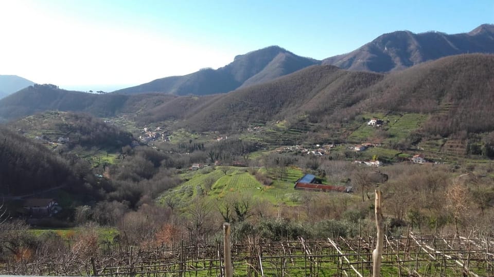 La Casa in Vigna Farm Stay in Campania
