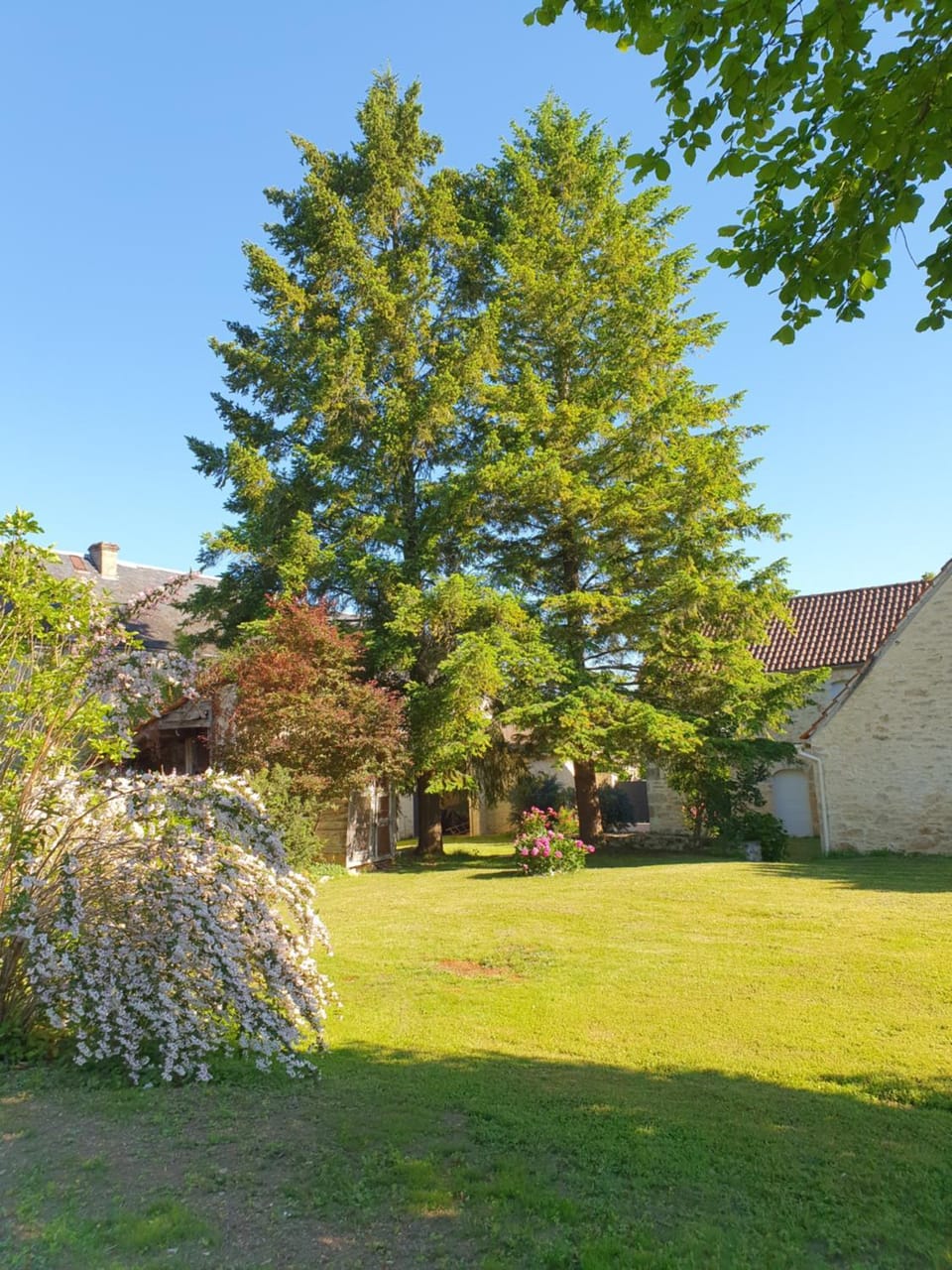 TRUITE FARIO, FISH AND GITES House in Occitanie