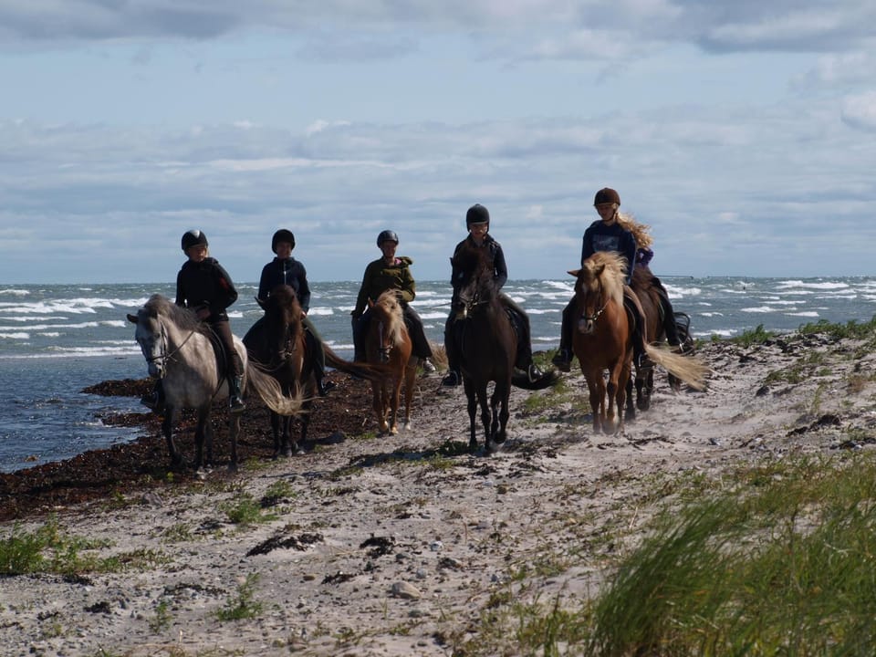 Horse-riding, Beach