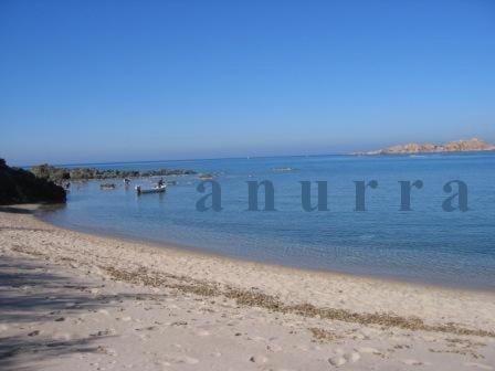 Summer, Fishing, Snorkeling, Beach, Diving, On site, Sea view