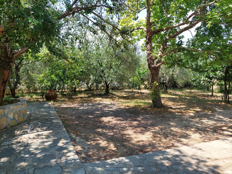 Patio, Garden, Parking