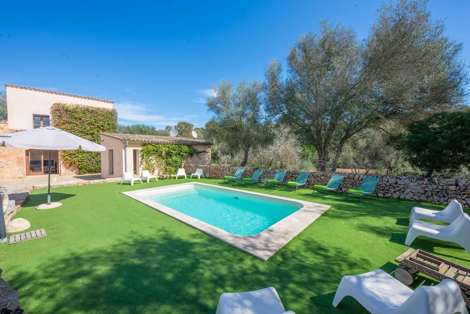 Pool view, Swimming pool, sunbed