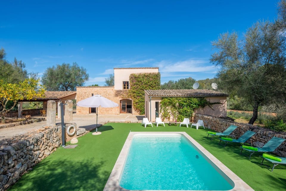 Pool view, Swimming pool, sunbed