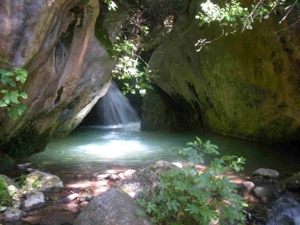 Natural landscape, Area and facilities