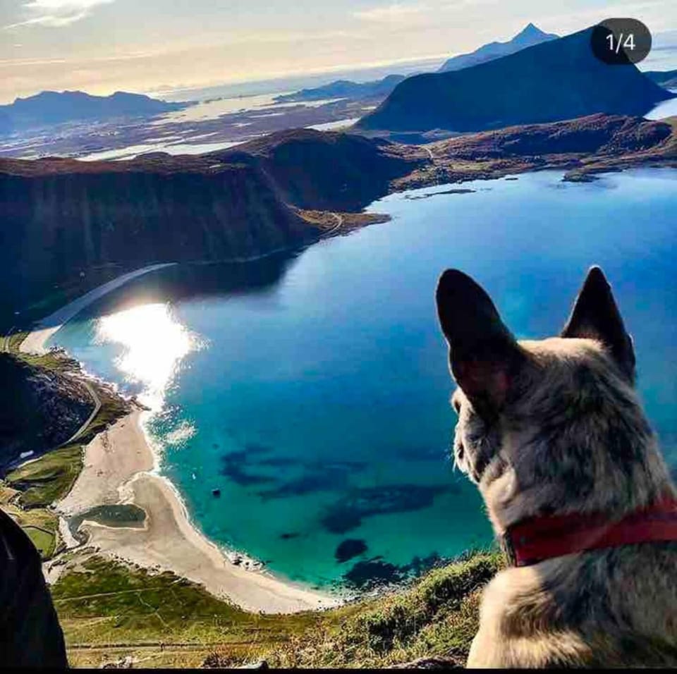 Nearby landmark, Natural landscape, Activities, Beach, Hiking, Pets, Mountain view, Sea view