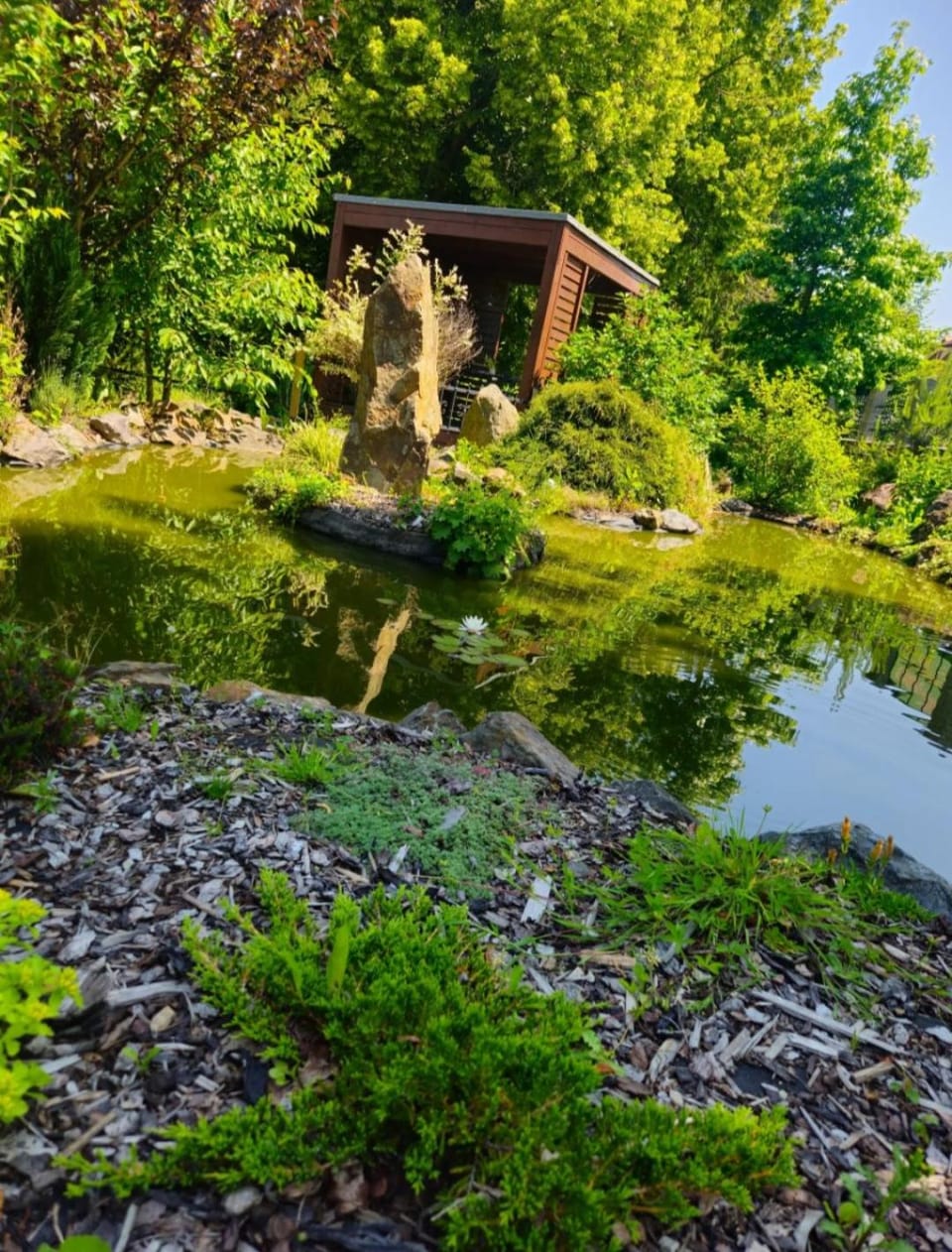 Garden view