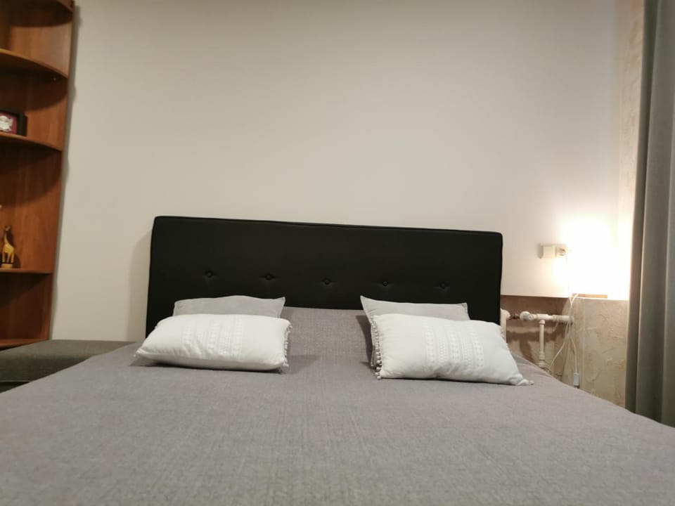 Central Apartments Nojus Apartment in Lithuania