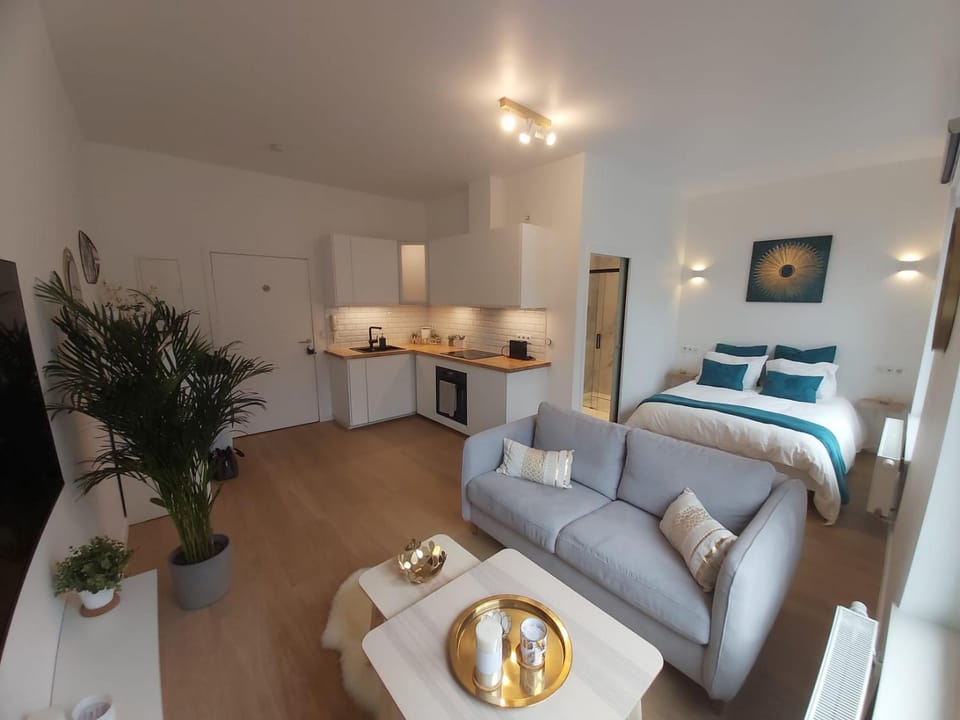 Logement luxueux dans le coeur de Bruxelles Apartment in Brussels