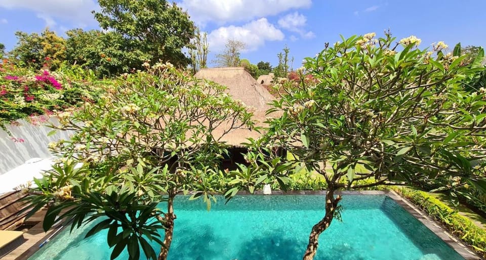 Garden, Garden view, Pool view, Swimming pool