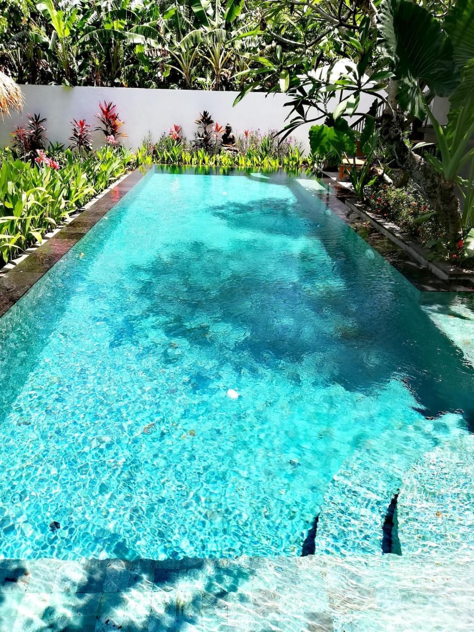 Garden, Garden view, Pool view, Swimming pool