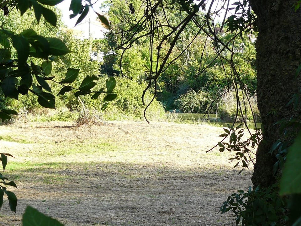 View (from property/room), View (from property/room)