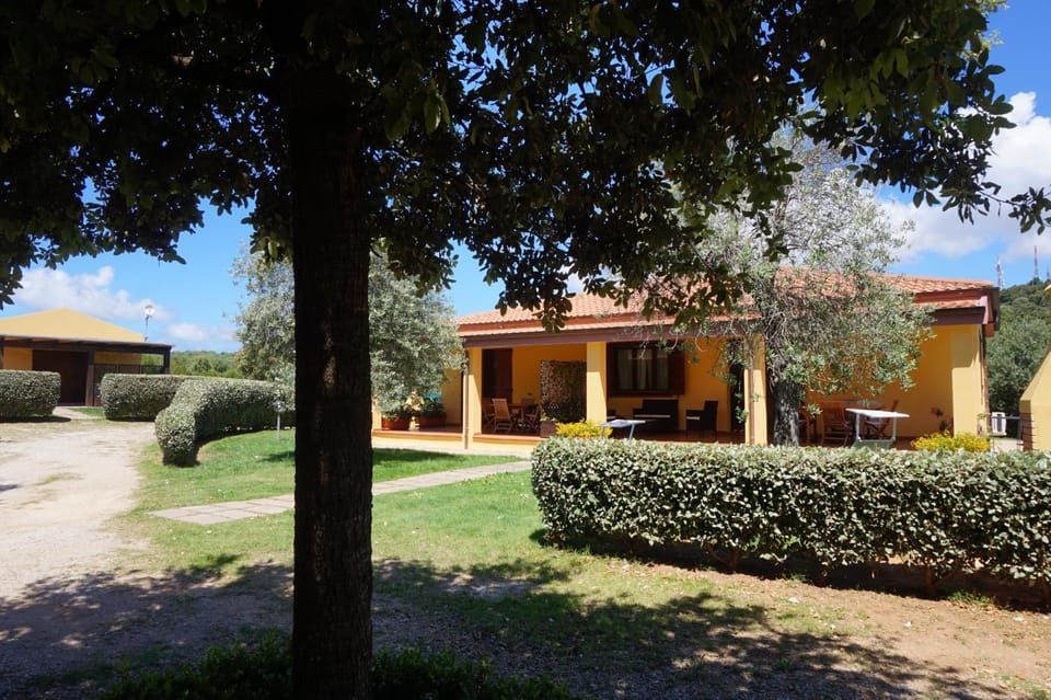 Property building, Garden view