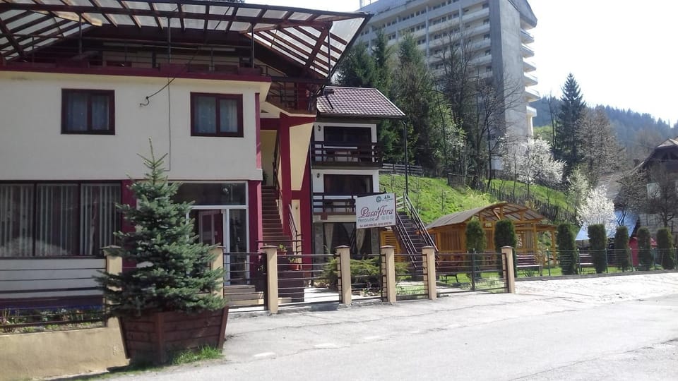 Passiflora Hotel in Romania