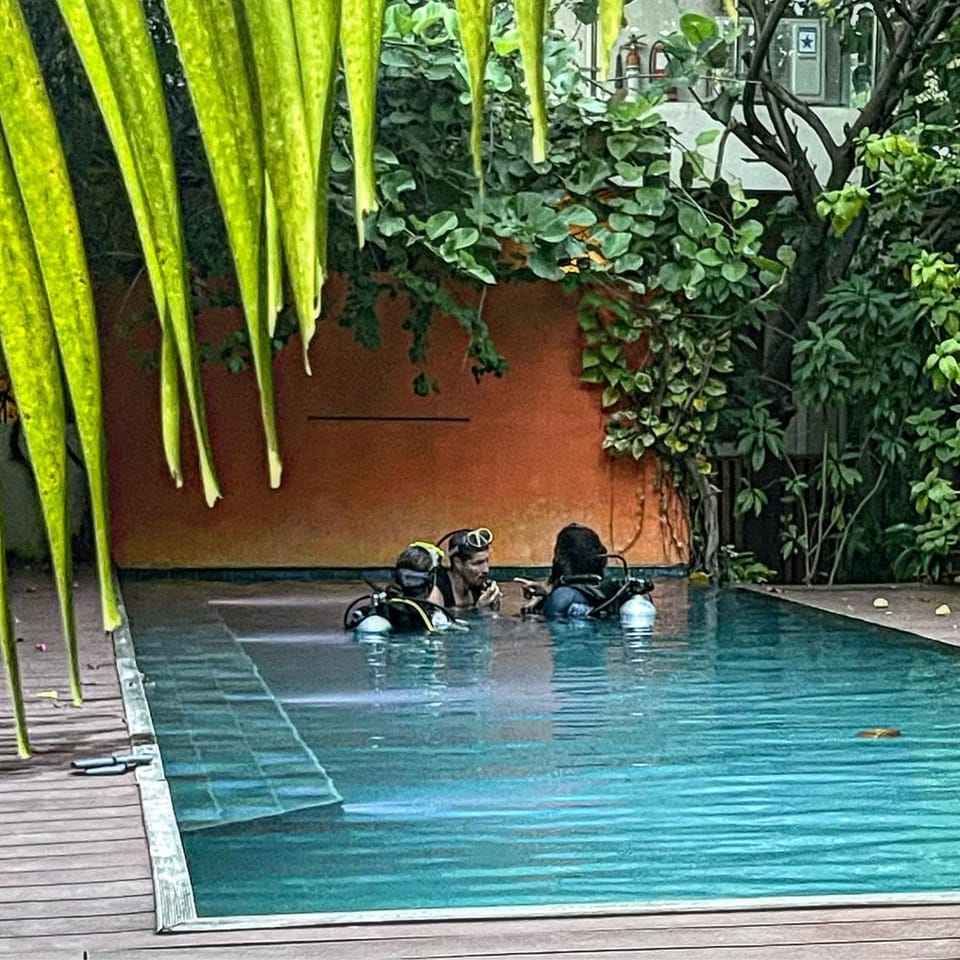 Diving, Pool view