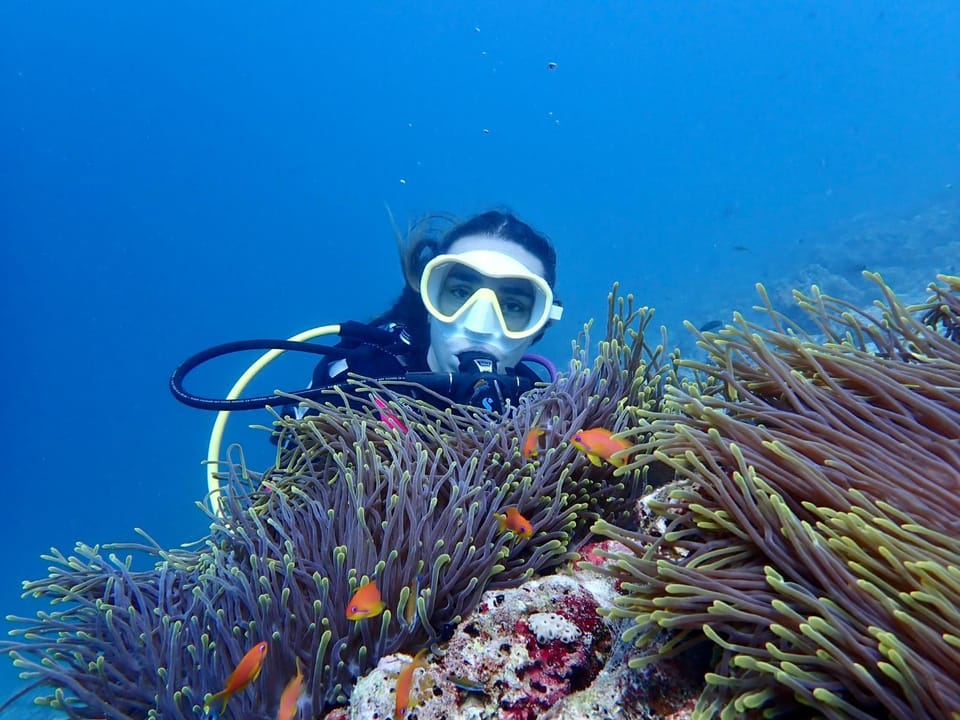 Activities, Diving